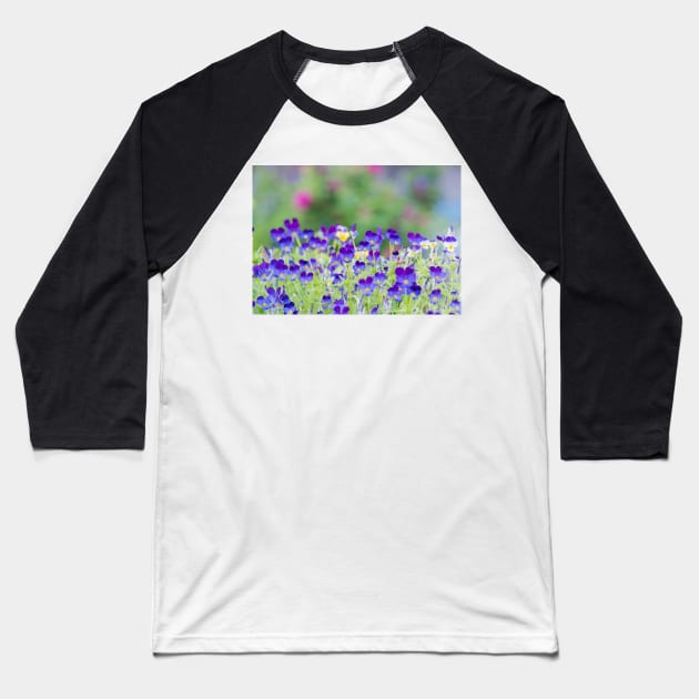 Little Purple Pansies Cottage Garden Baseball T-Shirt by Amy-K-Mitchell